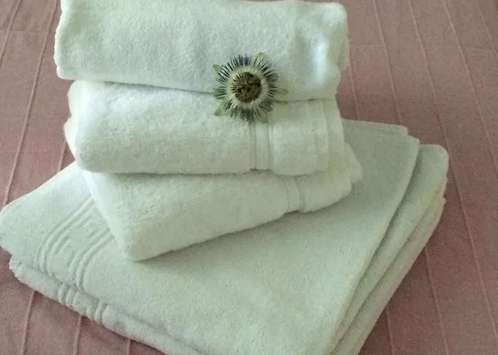 民宿 Les Passiflores